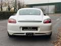 Porsche Cayman Cayman S 3.4i - 295 Weiß - thumbnail 5