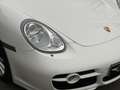 Porsche Cayman Cayman S 3.4i - 295 Weiß - thumbnail 36