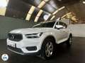 Volvo XC40 B3 163 ch DCT7 Momentum Business Blanc - thumbnail 1