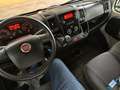 Fiat Ducato 2.3 130CV L1H1 MAXI Allestito Blanc - thumbnail 5