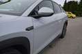BYD Sealion 7 Excellence Österreich Paket 91.5 kWh AWD **Lage... Grau - thumbnail 7