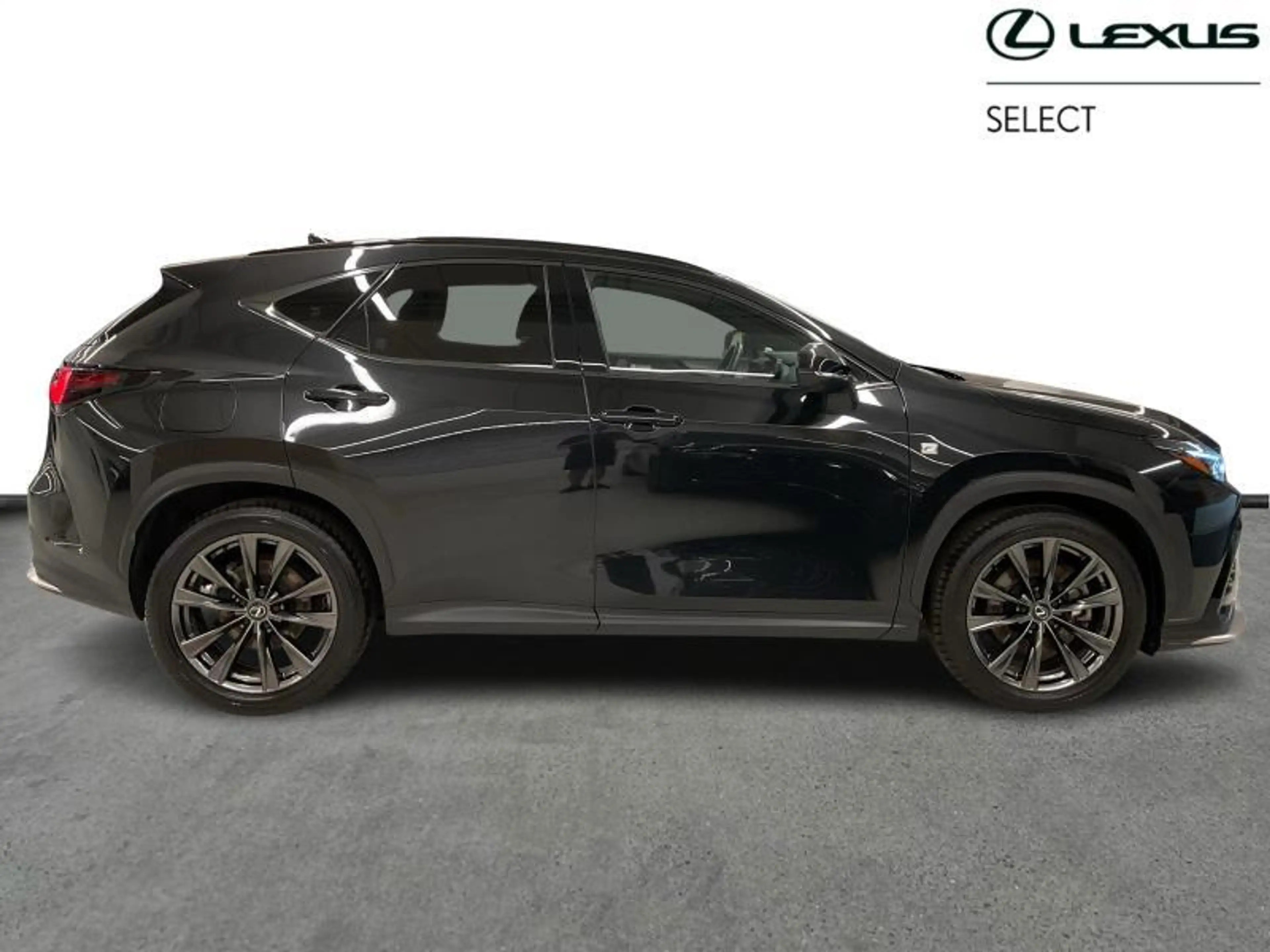 Lexus NX 450h+ F-SPORT LINE + T.O — photo 9