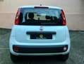 Fiat Panda Twin air natural power metano Bianco - thumbnail 5