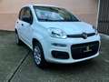 Fiat Panda Twin air natural power metano Bianco - thumbnail 4
