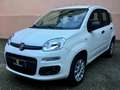 Fiat Panda Twin air natural power metano Bianco - thumbnail 6