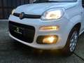 Fiat Panda Twin air natural power metano Bianco - thumbnail 8