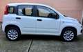 Fiat Panda Twin air natural power metano Bianco - thumbnail 3