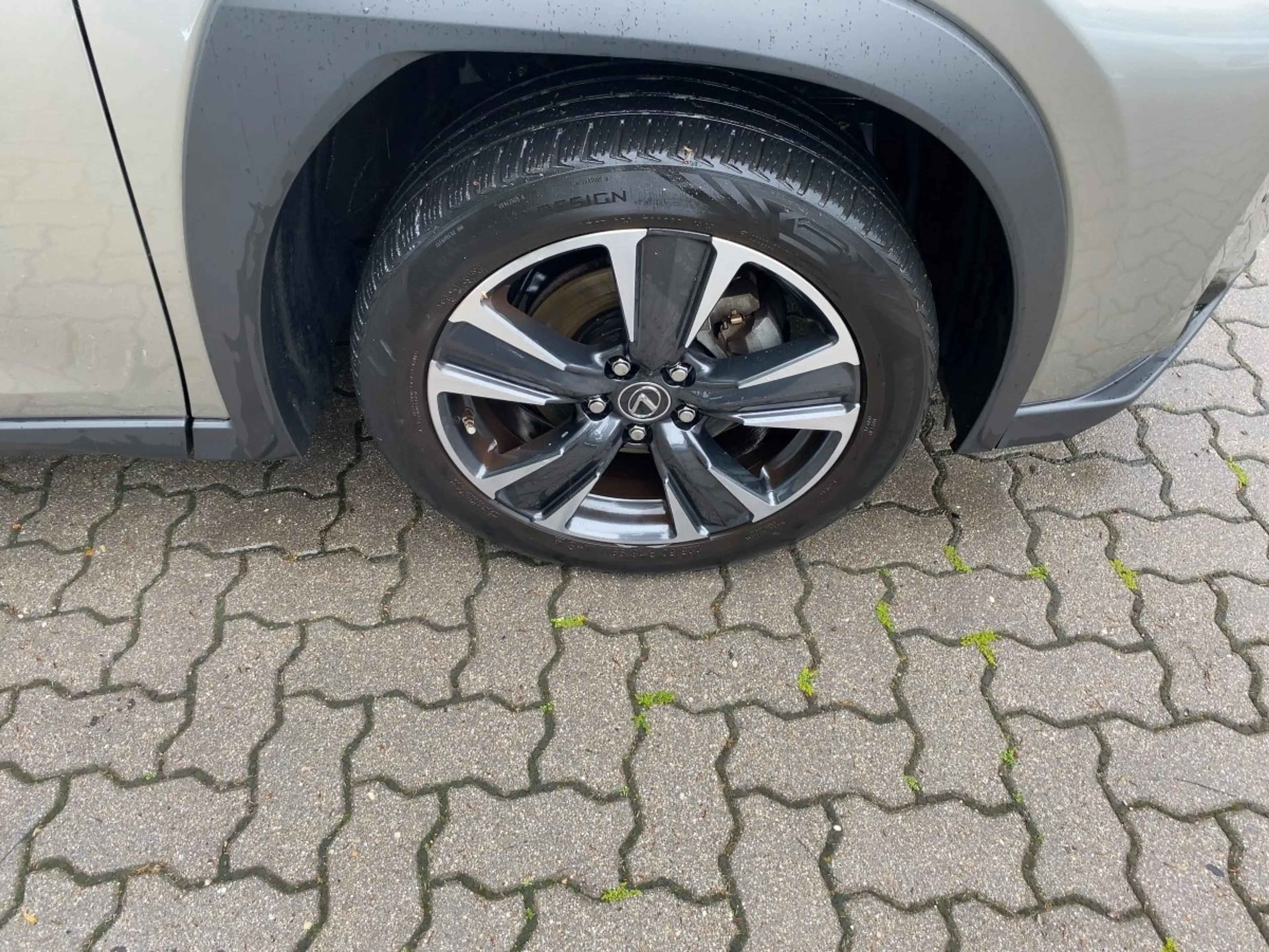 Lexus UX 250h UX 250 h Style Edition zuverlässiger Crossover — photo 9