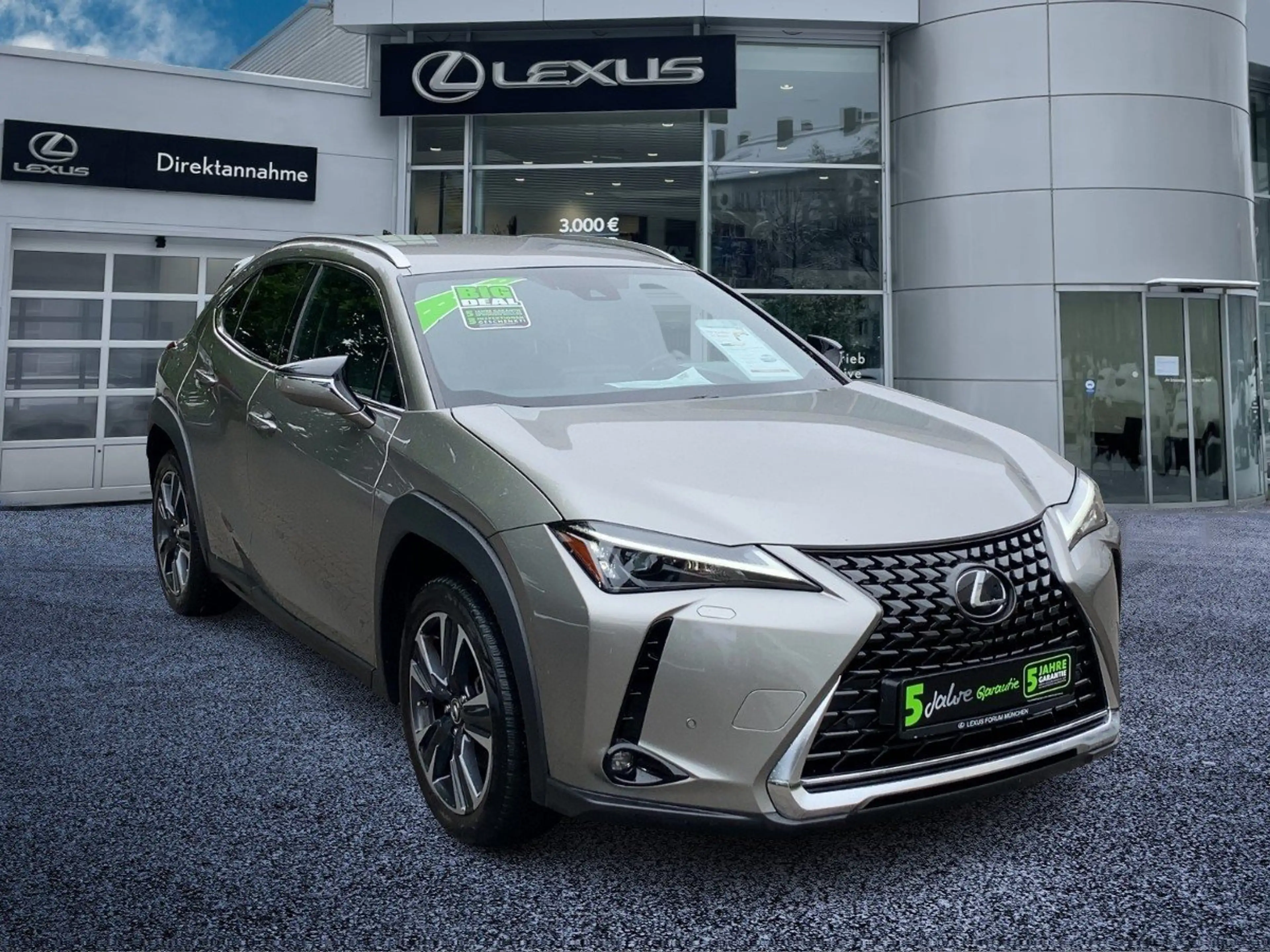 Lexus UX 250h UX 250 h Style Edition zuverlässiger Crossover — photo 8