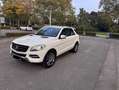 Mercedes-Benz ML 250 BlueTEC 4MATIC 7G-TRONIC - thumbnail 6