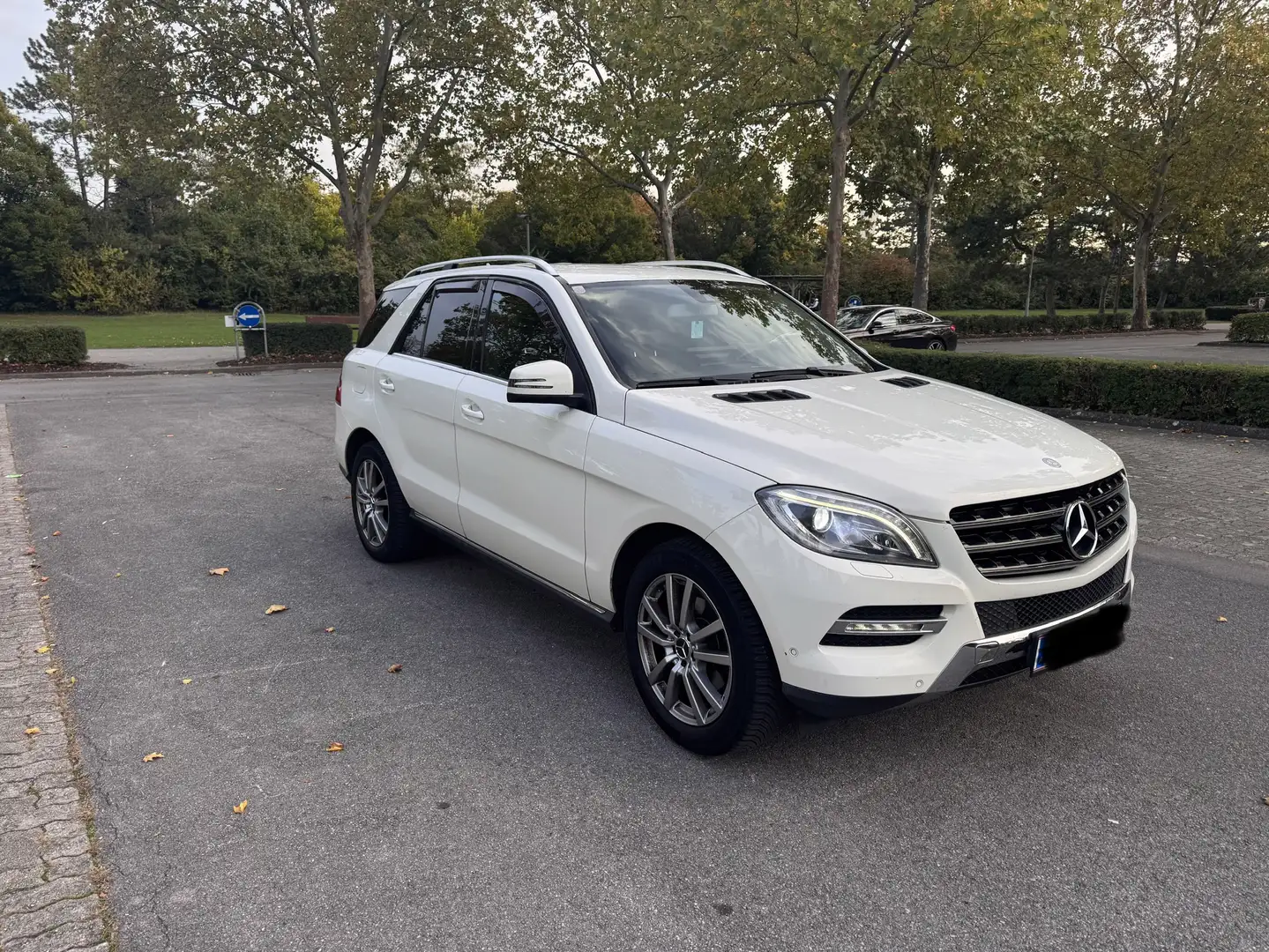 Mercedes-Benz ML 250 BlueTEC 4MATIC 7G-TRONIC - 2