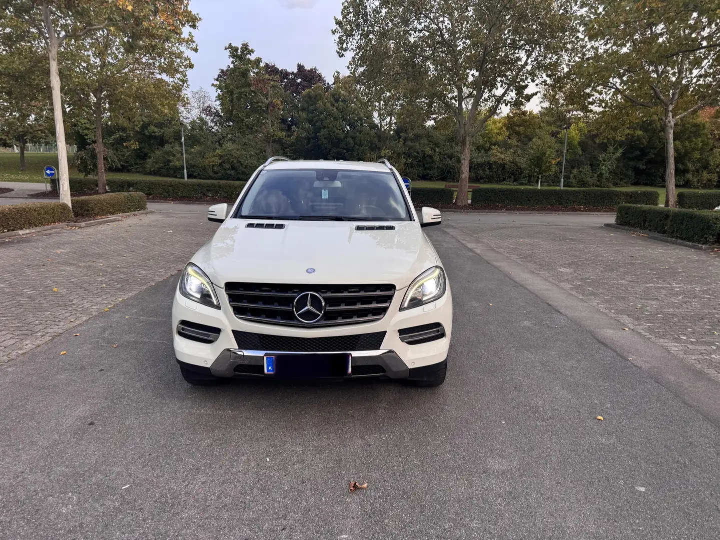 Mercedes-Benz ML 250 BlueTEC 4MATIC 7G-TRONIC - 1