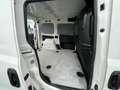Fiat Doblo Kasten+MwSt.+Inspektion NEU Weiß - thumbnail 7