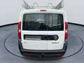 Fiat Doblo Kasten+MwSt.+Inspektion NEU Weiß - thumbnail 5