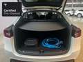 Tesla Model Y Rear-Wheel Drive “Certified Pre-Owned” Blanco - thumbnail 18