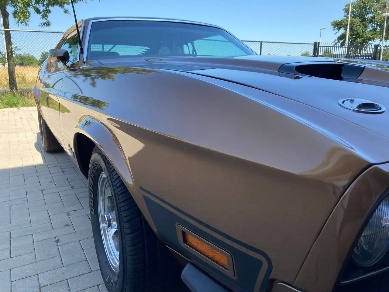 Ford Mustang Mach 1, foto 2