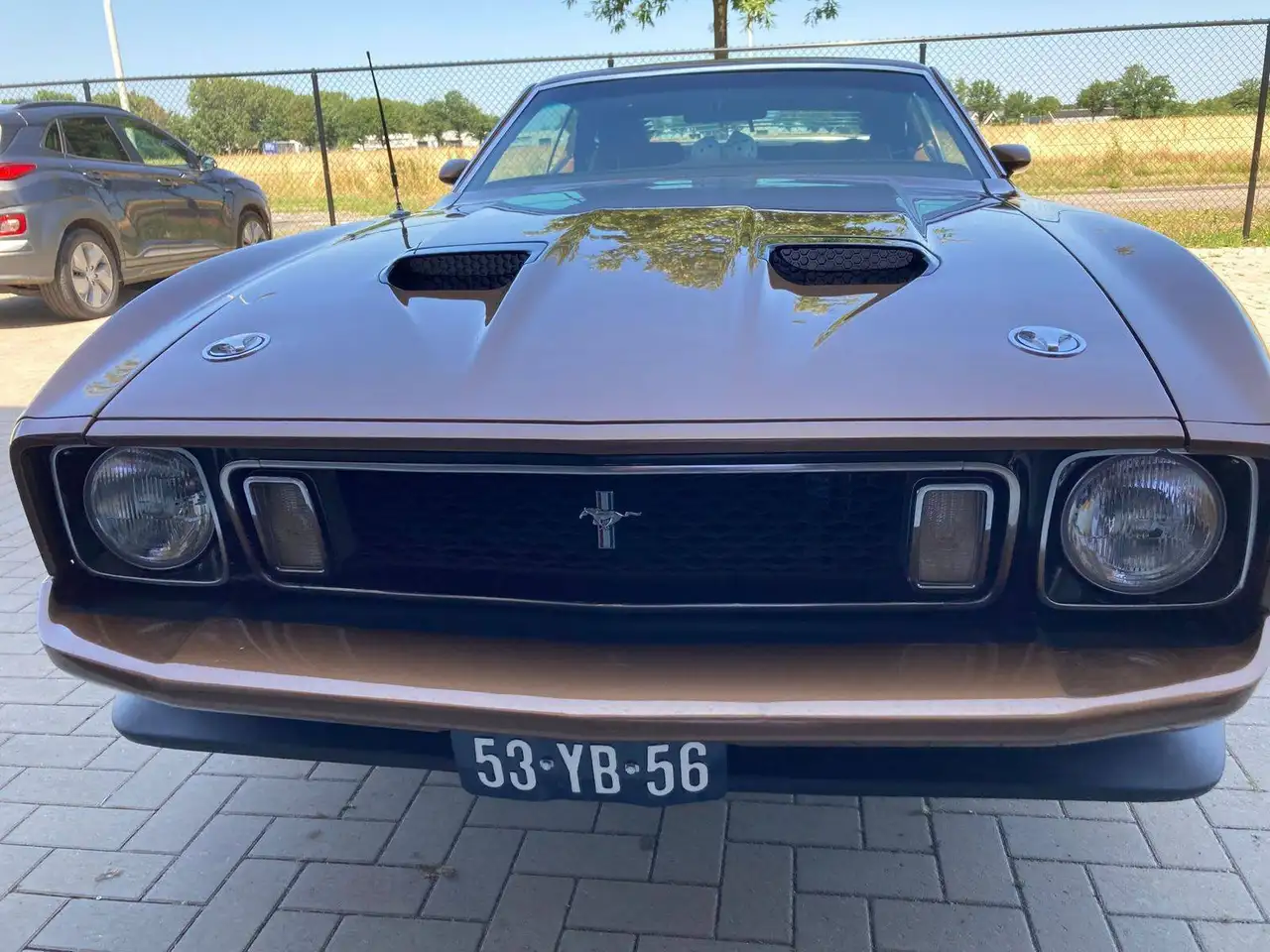 Ford Mustang Mach 1, foto 1