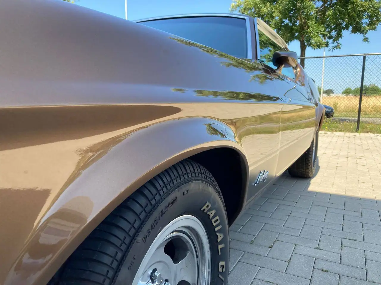 Ford Mustang Mach 1, foto 3