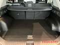 Kia Sportage Vision 1.6T 48V DCT Mild-Hybrid Komfort-Paket Schwarz - thumbnail 12