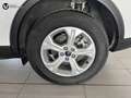 Ford Kuga 1.5 EcoBoost Titanium FWD 120 Blanco - thumbnail 17