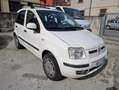 Fiat Panda 1.4 natural power MyLife Bombole 2027 Unico Prop. Bianco - thumbnail 3