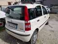 Fiat Panda 1.4 natural power MyLife Bombole 2027 Unico Prop. Bianco - thumbnail 4