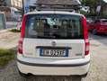 Fiat Panda 1.4 natural power MyLife Bombole 2027 Unico Prop. Bianco - thumbnail 5