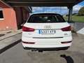 Audi Q3 Q3 2.0TDI Sport edition 110kW Sport edition Blanco - thumbnail 6