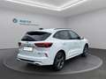 Ford Kuga ST-Line X Hybrid AWD Weiß - thumbnail 6