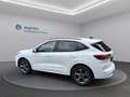 Ford Kuga ST-Line X Hybrid AWD Weiß - thumbnail 8