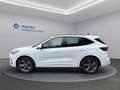 Ford Kuga ST-Line X Hybrid AWD Weiß - thumbnail 9