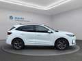 Ford Kuga ST-Line X Hybrid AWD Weiß - thumbnail 5