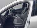 Ford Kuga ST-Line X Hybrid AWD Weiß - thumbnail 12