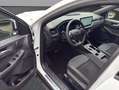Ford Kuga ST-Line X Hybrid AWD Weiß - thumbnail 10