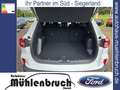 Ford Kuga 1.5 EcoBoost TITANIUM (DFK) Bianco - thumbnail 8
