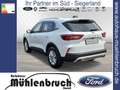Ford Kuga 1.5 EcoBoost TITANIUM (DFK) Bianco - thumbnail 9