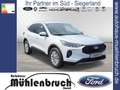 Ford Kuga 1.5 EcoBoost TITANIUM (DFK) Bianco - thumbnail 4