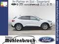 Ford Kuga 1.5 EcoBoost TITANIUM (DFK) Bianco - thumbnail 5