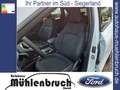 Ford Kuga 1.5 EcoBoost TITANIUM (DFK) Bianco - thumbnail 12