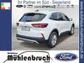 Ford Kuga 1.5 EcoBoost TITANIUM (DFK) Bianco - thumbnail 6