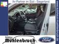 Ford Kuga 1.5 EcoBoost TITANIUM (DFK) Bianco - thumbnail 11