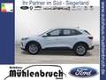 Ford Kuga 1.5 EcoBoost TITANIUM (DFK) Bianco - thumbnail 10
