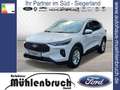 Ford Kuga 1.5 EcoBoost TITANIUM (DFK) Bianco - thumbnail 1