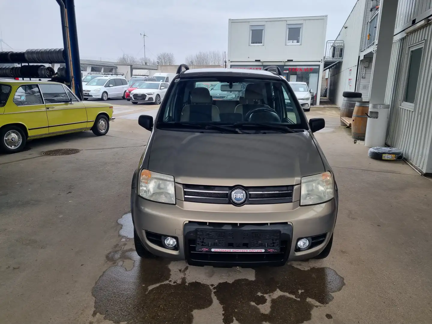 Fiat Panda 1.2 8V Climbing 4X4 Beige - 2