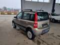 Fiat Panda 1.2 8V Climbing 4X4 Beige - thumbnail 7