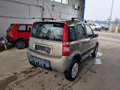 Fiat Panda 1.2 8V Climbing 4X4 Beige - thumbnail 5