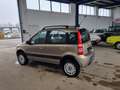 Fiat Panda 1.2 8V Climbing 4X4 Beige - thumbnail 8
