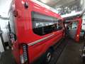 Ford Transit Transit Variobus 2,2 TDCI L2H2 310 Ambiente Ambiente Rot - thumbnail 3