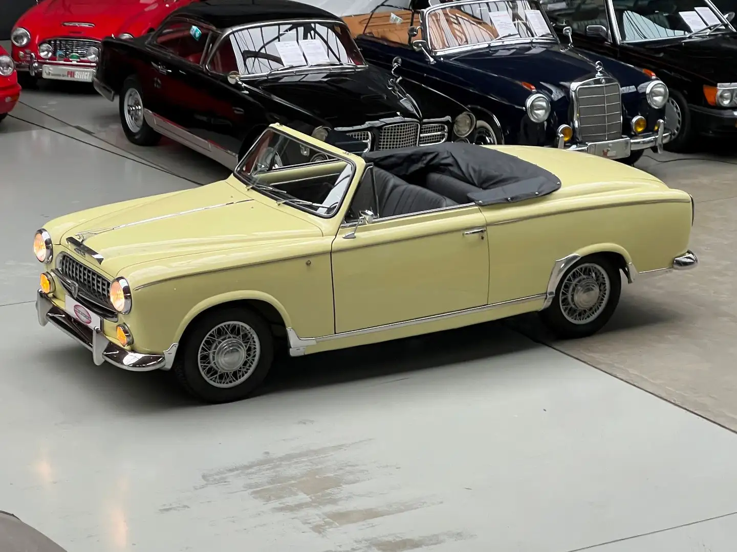 Peugeot 403 Cabrio, Mille Miglia zertifiziert Amarillo - 1