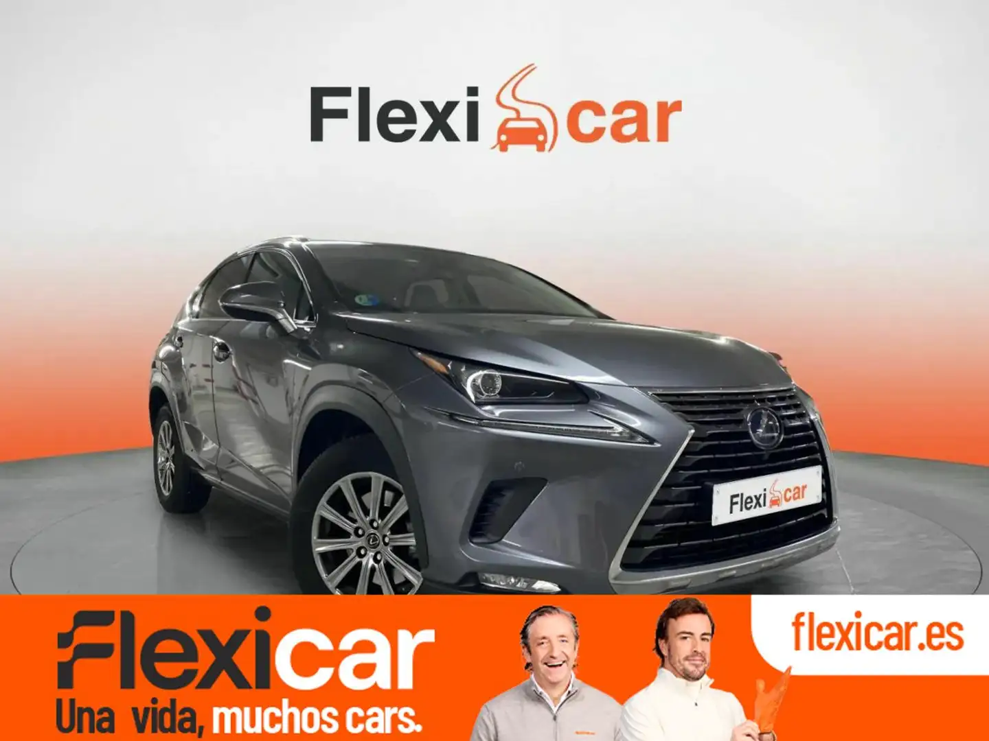 Lexus NX 300h 2.5 Executive Navigation Gris - 1